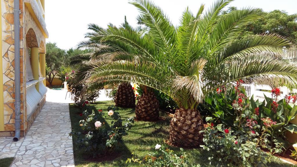 Apartments Vila Ana Vir Dış mekan fotoğraf