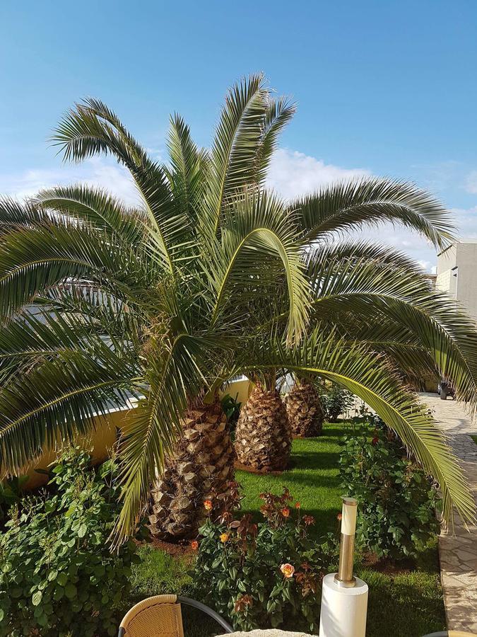 Apartments Vila Ana Vir Dış mekan fotoğraf